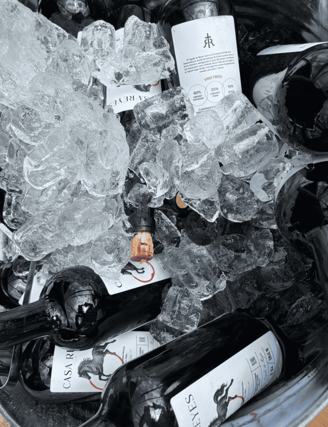 Botellas de vino en hielo para la vendimia en Guanajuato.